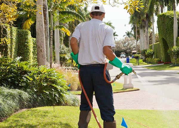 About Pontiac IL Pest Control